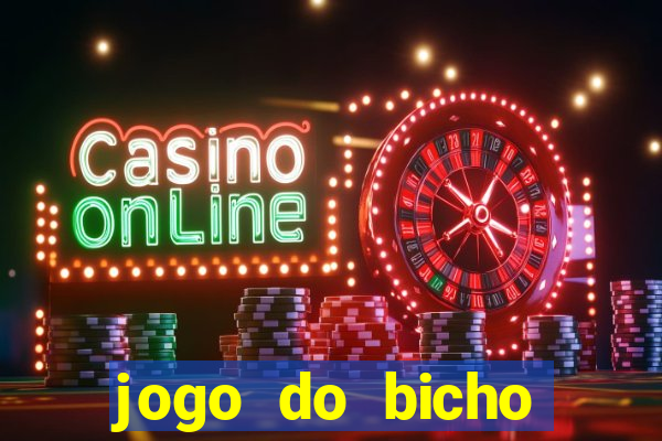 jogo do bicho crash bingo